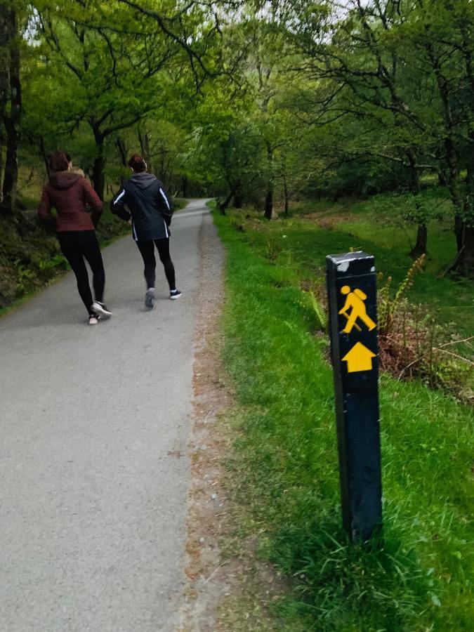Wicklow Way Lodge エクステリア 写真