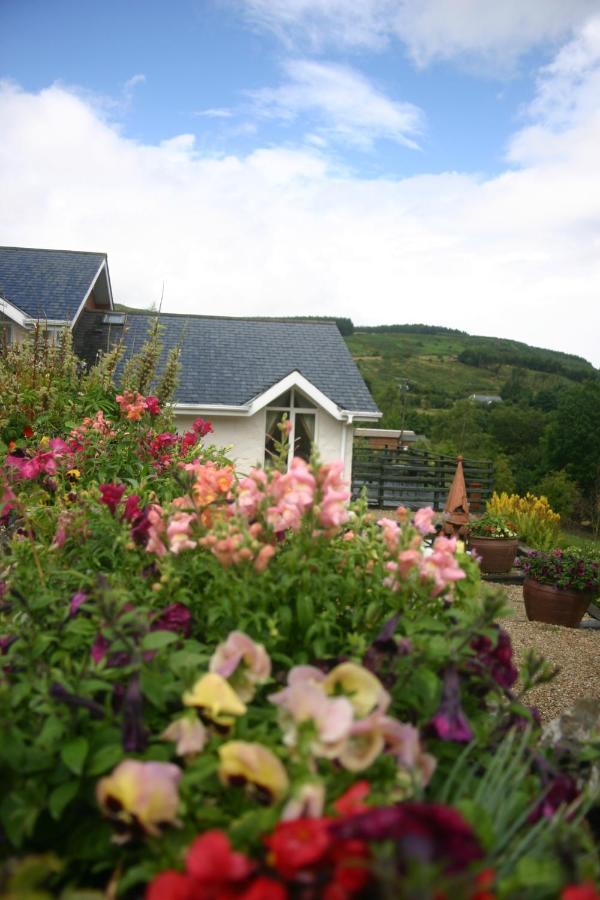 Wicklow Way Lodge エクステリア 写真