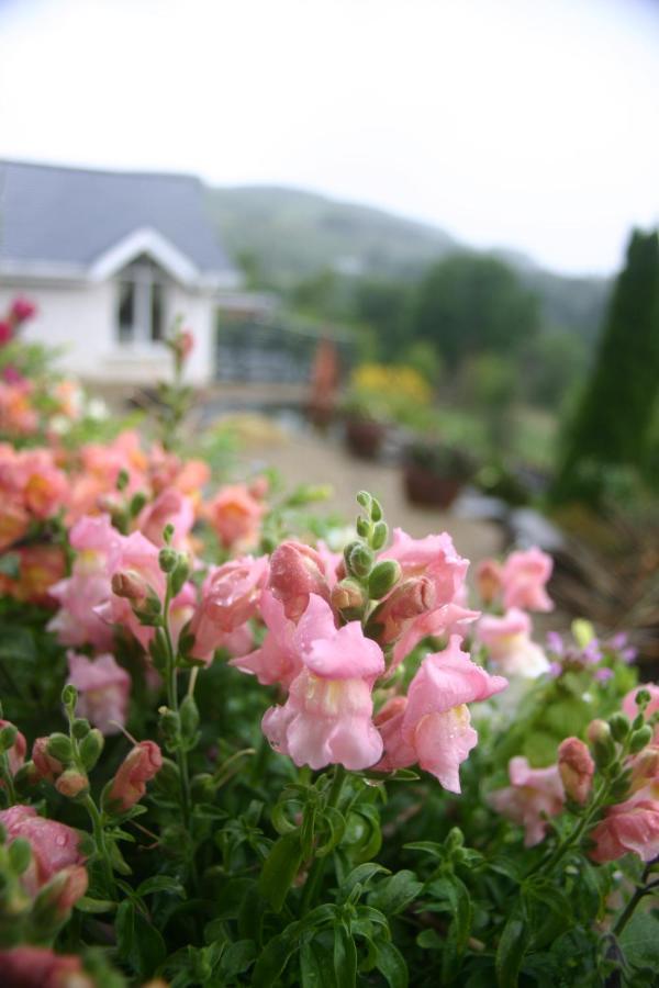 Wicklow Way Lodge エクステリア 写真